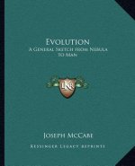 Evolution: A General Sketch from Nebula to Man