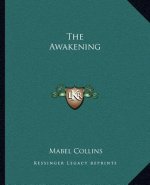 The Awakening
