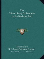 The Silver Lining or Sunshine on the Business Trail