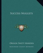 Success Nuggets