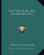 Not the Salary But the Opportunity