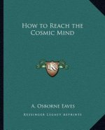 How to Reach the Cosmic Mind