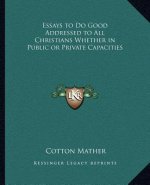 Essays to Do Good Addressed to All Christians Whether in Public or Private Capacities