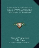 Illustrations of Dissections in a Series of Original Colored Plates the Size of Life Representing the Dissection of the Human Body