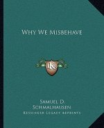 Why We Misbehave