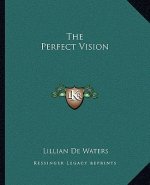 The Perfect Vision