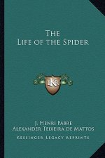 The Life of the Spider