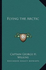 Flying the Arctic