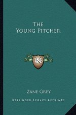 The Young Pitcher