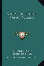 Social Life in the Insect World