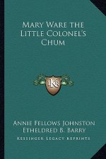 Mary Ware the Little Colonel's Chum