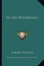 In the Wilderness