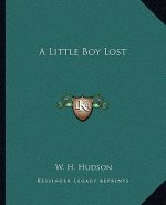 A Little Boy Lost