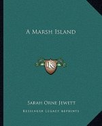 A Marsh Island
