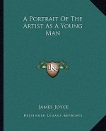 A Portrait Of The Artist As A Young Man