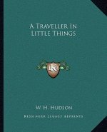 A Traveller in Little Things