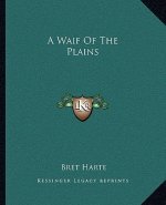 A Waif of the Plains