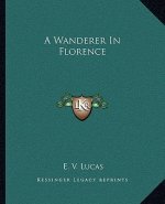 A Wanderer in Florence