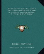 Affairs of State Being an Account of Certain Surprising Adventures Which Befell an American Family in the Land of Windmills