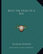 Bevis The Story Of A Boy