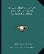 Brave and Bold or the Fortunes of Robert Rushton