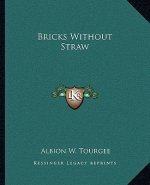 Bricks Without Straw