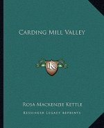 Carding Mill Valley