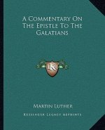 A Commentary on the Epistle to the Galatians