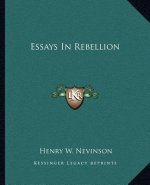 Essays in Rebellion