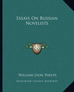 Essays on Russian Novelists