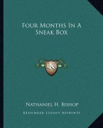 Four Months in a Sneak Box