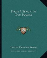 From a Bench in Our Square