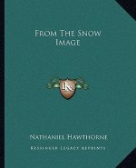 From the Snow Image