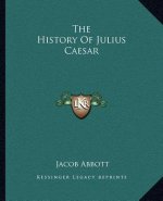 The History Of Julius Caesar