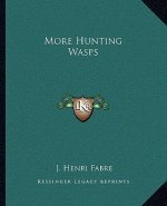 More Hunting Wasps