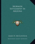 Mormon Settlement in Arizona