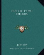 Not Pretty But Precious