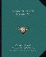 Pagan Tribes of Borneo V1