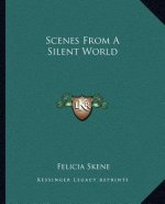Scenes from a Silent World