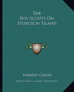 The Boy Scouts on Sturgeon Island