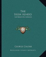The Irish Aeneid: Imtheachta Aeniasa