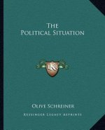 The Political Situation