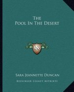 The Pool in the Desert