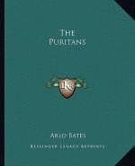 The Puritans