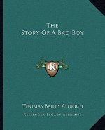 The Story Of A Bad Boy