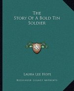 The Story of a Bold Tin Soldier