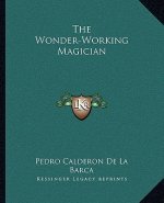 The Wonder-Working Magician