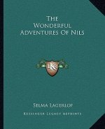 The Wonderful Adventures of Nils