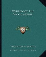 Whitefoot the Wood Mouse