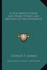 A New Mexico David and Other Stories and Sketches of the Southwest